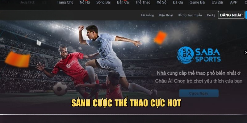 Thể thao NOHU – Sân Chơi Cá Cược An Toàn Và Chất Lượng